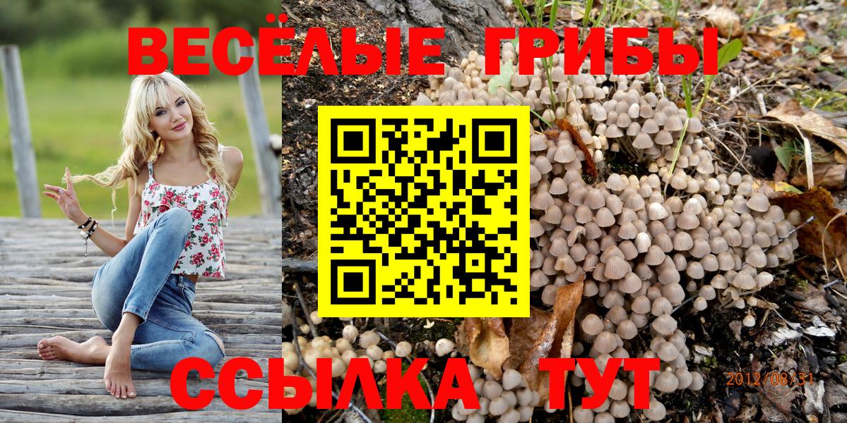 Галлюциногенные грибы Psilocybine cubensis  Вход с VPN  Елизово 